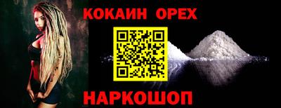 стаф Можга