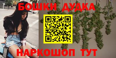 стаф Можга