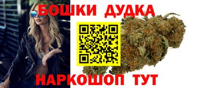 стаф Можга