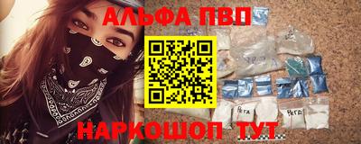 стаф Можга